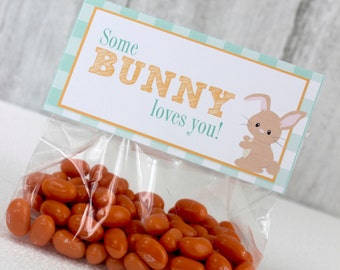 Easter Bag Topper, Somebunny Loves You, Printable