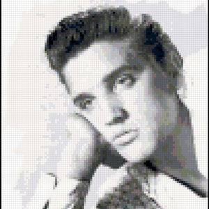Tribute to Elvis Presley - Original Counted Cross Stitch Pattern
