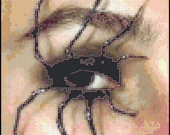 Intricate Spider Eye Full Coverage Counted Cross Stitch Pattern