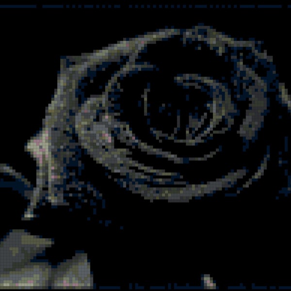 Black Rose by Ansel Adams Counted Cross Stitch Pattern