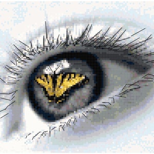 Counted Cross Stitch Original Pattern - Eye of the Beholder
