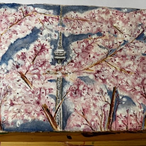 Kirschblüten