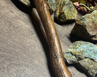 Bark Beetle Art - Tracks and Patterns Inscribed on Wood by Insects