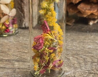 Handpicked and Dried Wildflowers in a Specimen Jar