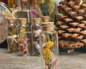 Handpicked and Dried Wildflowers in a Specimen Jar
