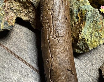 Bark Beetle Art - Tracks and Patterns Inscribed on Wood by Insects