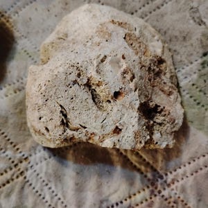 Fossils