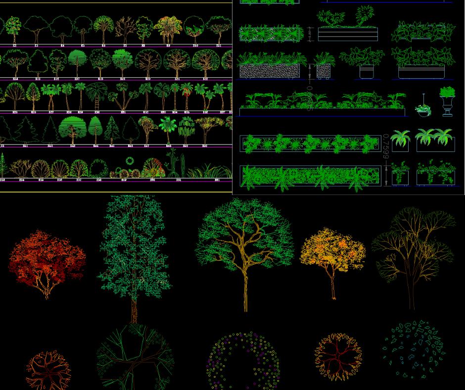 Trees & Plants CAD Blocks: Architectural Landscape DWG Library - Etsy