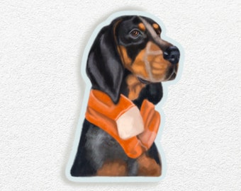 Könnte beinhalten: Ein schwarz-weißer Bloodhound-Hund, der einen orange-weißen Schal trägt. Der Hund schaut nach rechts im Bild.
