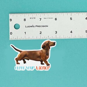 Funny Wiener Dog Sticker - I Love Your Wiener Naughty Adult Vinyl - Dachshund Art  - Doxie Computer Decal - Water Bottle Sticker