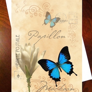 Butterfly Floral Postal Papillon Blanco Kaart door LauriJon™ Design Studio