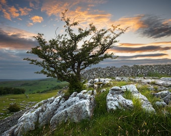 Winskill Stones, Yorkshire Dales - Fine Art Print