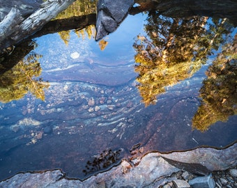 Creekbed Reflections, Fine Art Print