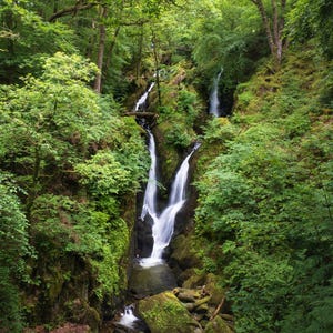 May include: A lush green forest with a cascading waterfall flowing through it. The water falls in multiple tiers, creating a beautiful and serene scene.