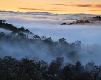 May include: A panoramic view of a misty valley at sunrise. The fog rolls through the trees, creating a soft, ethereal atmosphere. The sky is a vibrant orange and pink, with wispy clouds.