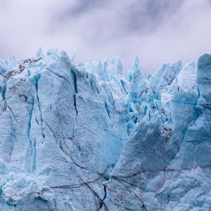 Grand Pacific Glacier,  Glacier Bay National Park - Fine Art Print