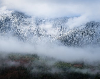 Morning Frost, Olympic National Park - Panoramic Fine Art Print