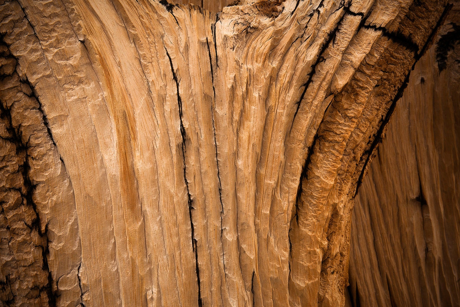 Textuur borstelharenstam: fine-art-print