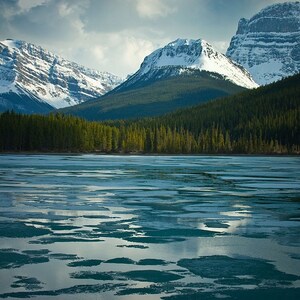 Wasservögel - Banff Fine Art Print