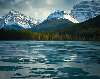 Watervogels meer - Banff Fine Art-print