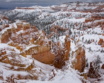 May include: A snowy landscape with red rock formations and evergreen trees. The snow covers the ground and the tops of the rock formations.
