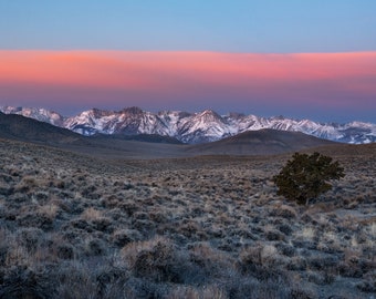 May include: Panoramic landscape photograph of a mountain range at sunset. The sky transitions from blue to pink and orange, with snow-capped peaks in the distance. The foreground features a field of dry brush and a lone tree.