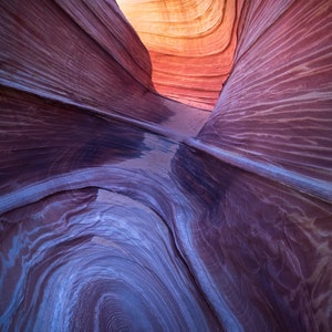 The Wave, Fine Art Print