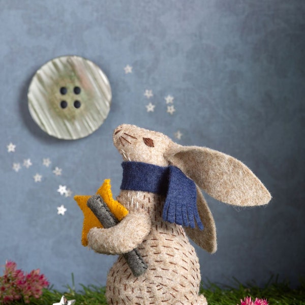 Prof. Hare, Stargazer, Felt Craft Kit