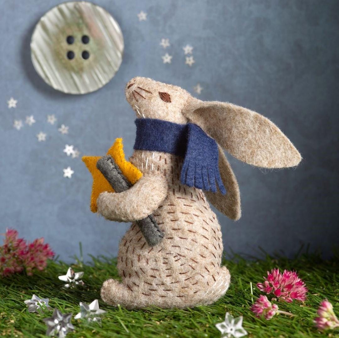 37 Fabulous Felt Crafts For Kids: Simple and Budget-Friendly 17 Prof. Hare, Stargazer, Felt Craft Kit