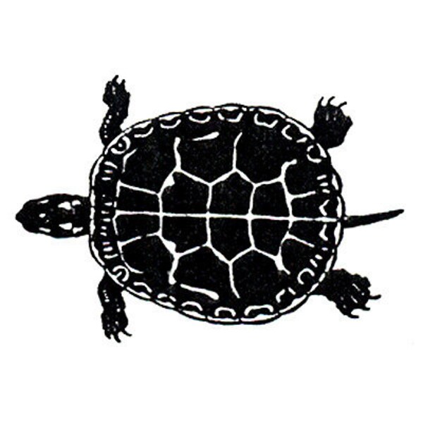 Unmounted Rubber Stamp - Little Turtle