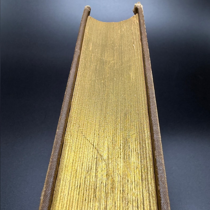 May include: The spine of a vintage book with a gold-colored cover and brown leather binding.