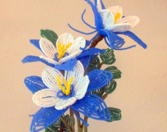 Aguileña de Colorado - Flores con cuentas de Dee