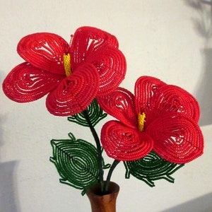 Hibiscus stem