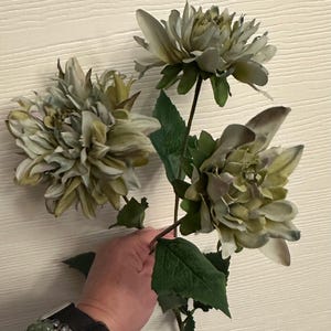 Dahlia Spray Green purple and blue dahlias for floral design Multi colored flowers for home decor or wreath making Accent flower for bouquet