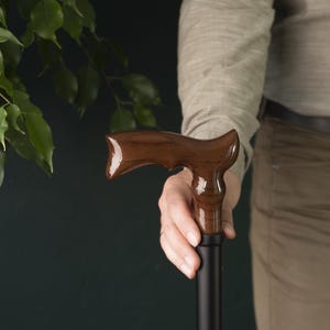 Op de afbeelding: Een wandelstok met een donkerbruine houten handgreep en een zwarte schacht.