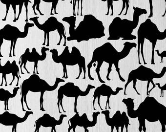 Paquete de imágenes SVG de camellos, imágenes prediseñadas de camellos, archivos de corte de camellos para Cricut, silueta de camello, paquete de imágenes PNG de camellos, vector de camello, camello SVG, PNG