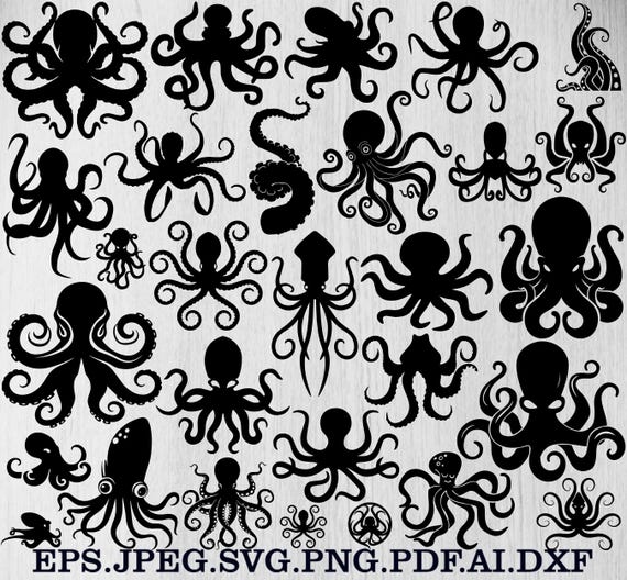 Octopus Svg Bundle, Octopus Png Bundle, Octopus Clipart, Octopus Cut Files For Circut, Octopus Silhouette, Octopus Outline Svg, Octopus Png