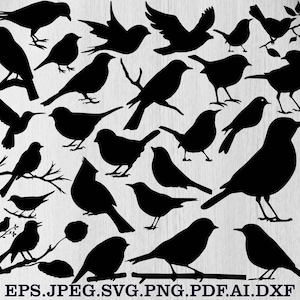 Puede incluir: Una colección de siluetas negras de pájaros en varias poses, incluyendo posados, volando y en ramas. La imagen incluye el texto "EPS.JPEG.SVG.PNG.PDF.AI.DXF" en la parte inferior, indicando formatos de archivo.