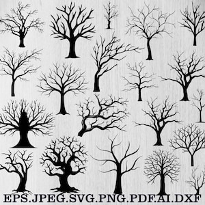 Peut inclure: Plusieurs dessins de silhouettes d'arbres noirs aux branches nues. Les arbres varient en taille et en forme, avec des troncs épais et des motifs de branches complexes. L'image comprend les notations de type de fichier : EPS, JPEG, SVG, PNG, PDF, AI et DXF.