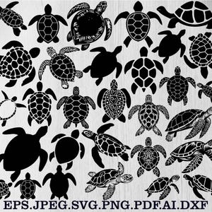 Sea Turtle Svg Bundle, Sea Turtle Clipart, Sea Turtle Cut Files, Sea Turtle Silhouette, Floral Turtle Svg, Turtle Png Bundle, Turtle Png