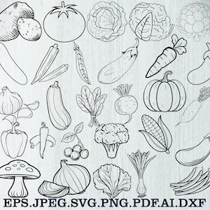 Könnte beinhalten: Schwarz-Weiß-Strichzeichnung verschiedener Gemüsesorten, darunter eine Kartoffel, Tomate, Kohl, Blumenkohl, Gurke, Okra, Erbsenschote, Aubergine, Karotte, Kürbis, Knoblauch, Zucchini, Spinat, Rote Bete, Mais, Radieschen, Paprika, Chili, Pilz, Zwiebel, Salat, Lauch und grüne Bohnen.