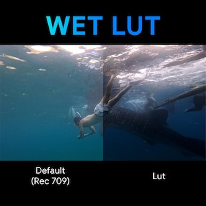 Puede incluir: Escena submarina con una persona buceando cerca de un gran tiburón ballena. La imagen está dividida, con el lado izquierdo mostrando un perfil de color predeterminado y el lado derecho una versión corregida. El texto en la parte superior dice "WET LUT".