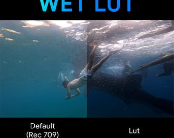 Wet LUT - Deep Blue Rec709 LUT (.CUBE File) | Professional Underwater Footage Correction
