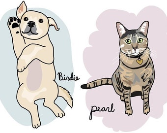 Custom Pet Portrait - Quirky Illustrated Pet Drawing - Digital Download