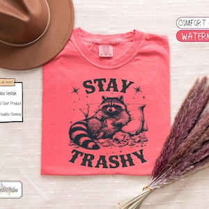 Comfort Colors® Stay Trashy Shirt,Every Day Is Trash Day, Raccoon Lover Gift, Funny Racoon Meme Shirt, Funny Graphic Shirt, Cool Style