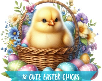 Cute Easter Chicks Clipart Bundle Easter Cute Animal Digital Art Easter Chicks Cute Easter Clip Art Adorable Animal Easter PNG Pack Easter