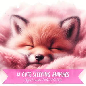 Cute Sleeping Animal Clipart Bundle Adorable Sleeping Clipart Animal Cute Graphic Sleeping Clipart Cute Animal Sleeping Images Animal PNG