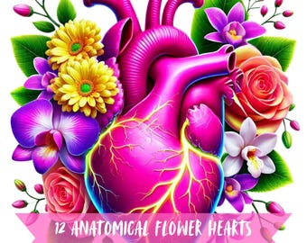 Anatomical Flower Hearts Clipart Bundle, Floral Watercolor Love Graphics, Transparent Background Colorful Images, Different Idea Digital Art