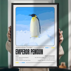 Pingüino Emperador – Arte de la fauna antártica, Impresión mural de pingüinos, Póster de aves para amantes de la naturaleza, Ilustración de animales polares, Decoración para climas fríos
