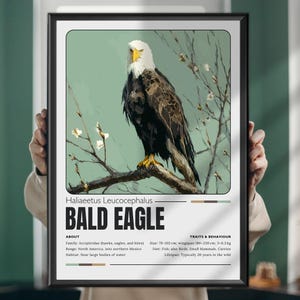 Bald Eagle Painting, Majestic American Eagle Artwork, Nature Bird Art Print, Wildlife Wall Decor, Patriotic Eagle Poster